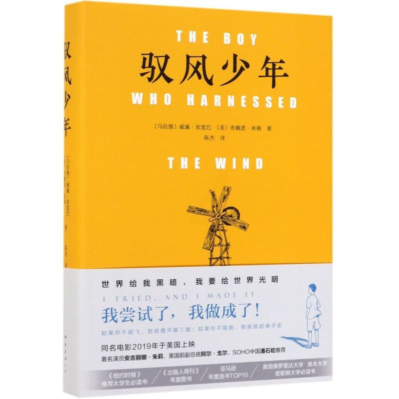 [正版]驭风少年(精)