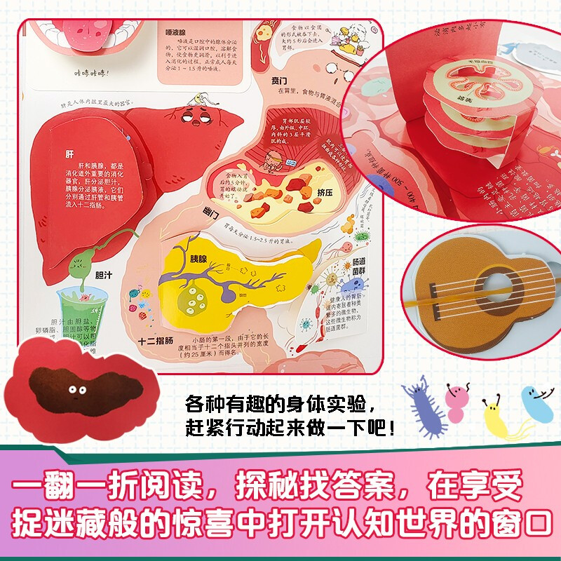 [醉染正版]呦呦童 我们的身体3d立体书 儿童3d 中国少年儿童百科全书 幼儿 绘本3-6-12周岁早教科普启蒙翻翻书认高清大图