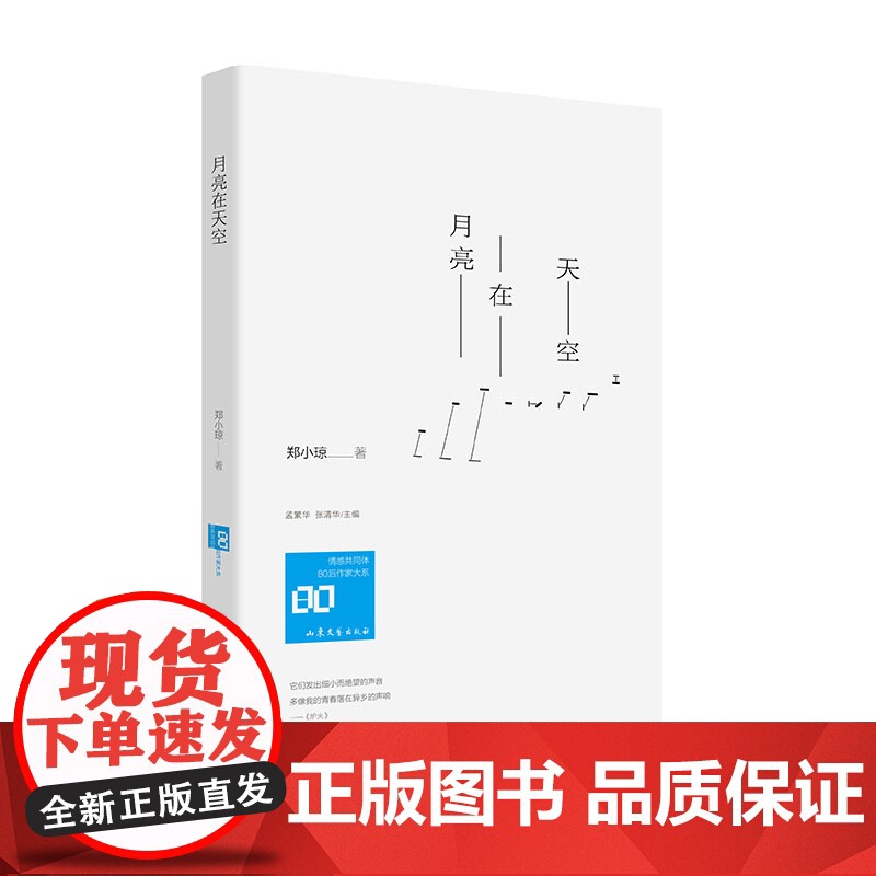 月亮在天空 郑小琼著 孟繁华、张清华主编 山东文艺出版社 正版书籍高清大图
