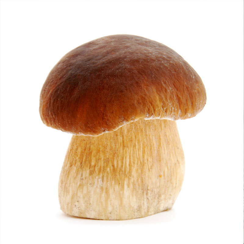 湖北三峡深山屈乡椴木香菇精选特产野外新鲜香菇特厚珍珠菇250g/500g