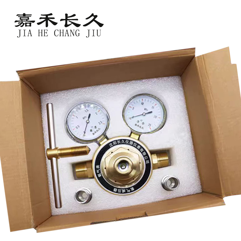 嘉禾长久 氧气减压气检测定制型 氧气表(双头) 个高清大图