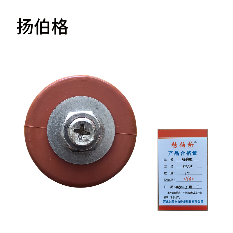 扬伯格 防护器 400/10 个高清大图