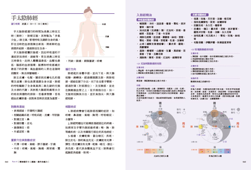 [正版] 褚柏菁十二经络精油 辨证疗愈善用「褚氏太极」 以中医辨证论治 发挥精油佳疗效 原版进口书 医疗保健高清大图