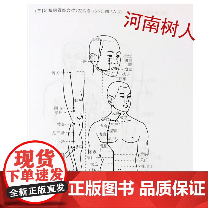 2本套装 马氏温灸法+谢锡亮灸法 第5版全2册 养生人体经络穴位图解书谢锡亮经络穴位人体图解大全 拔罐刮痧按摩推拿灸除百高清大图