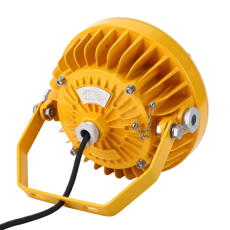 鼎晟丰(DSF)DSFF-951(30W)LED防爆节能泛光灯 黄色