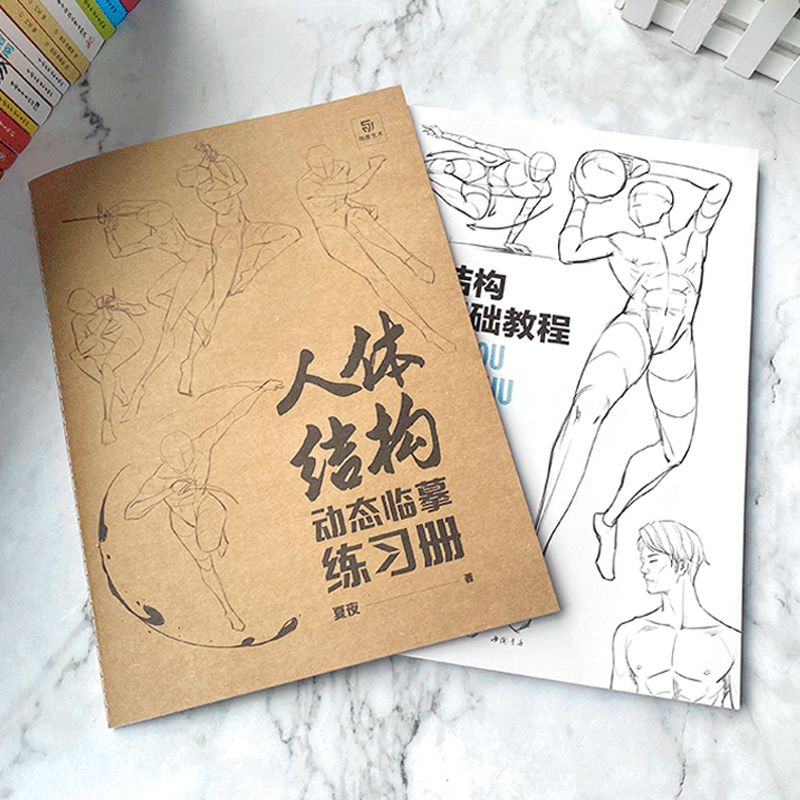 [正版]人体结构插画基础教程+人体结构动态临摹本两册套装 动漫描摹本 素描速写手绘临摹 人体结构造型手绘技法 漫画人物绘高清大图