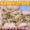 大麦虫活体面包虫黄粉虫画眉鸟乌龟仓鼠八哥蜥蜴金龙鱼钓饲料 大麦虫100条