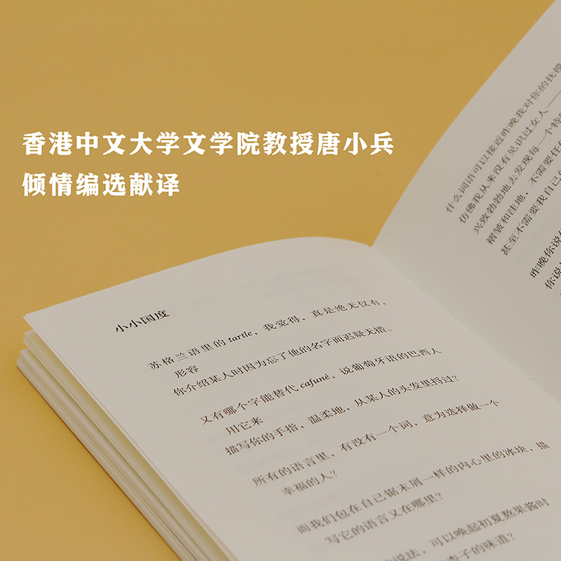 [正版]我深爱我们一起相处的这些夜晚:美国当代诗选(艺文志·诗)唐小兵编译美国当代诗歌上海文艺出版社 外国文学欧美诗歌集高清大图