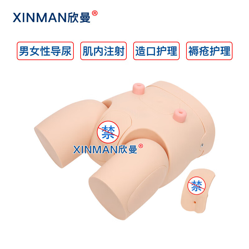 欣曼科教 高级男女性互换导尿操作训练模型 导尿练习模拟人XM-H12高清大图