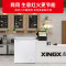 星星(XINGX)BD/BC-140JKE家用商用大容量冷藏冷冻转换单温卧式冰柜厨房商用保鲜设备微霜预涂内胆冰柜