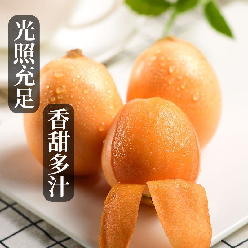 星派果米易枇杷带箱3/5斤装新鲜孕妇水果五星琵琶果现摘当季整箱顺丰图片