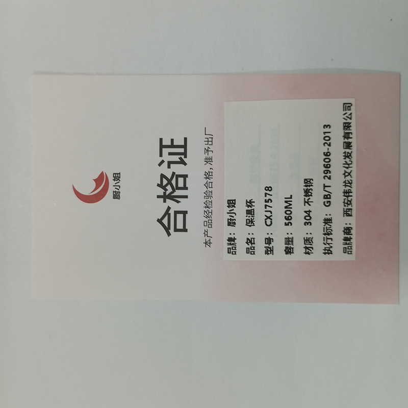 厨小姐 双饮渐变手提304不锈钢保温杯 560ml CXJ7578 个