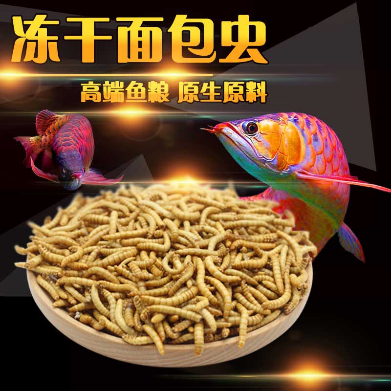 干粉虫鸟食龟食仓鼠零食龙鱼鹦鹉罗汉地图鱼鱼食高清大图