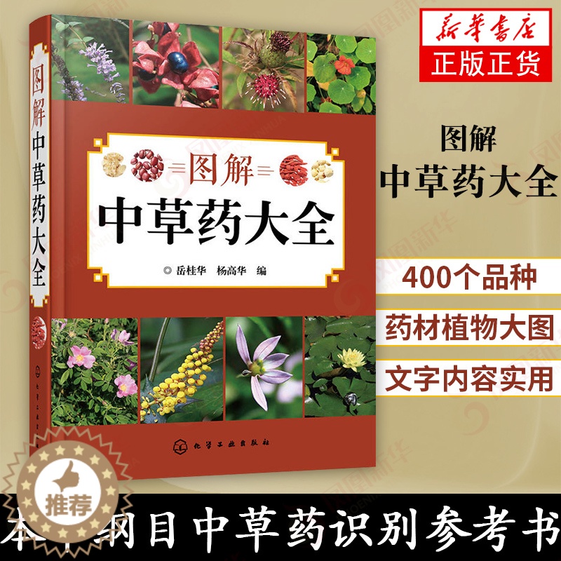 【醉染正版】图解中草药大全 中医入门中草药大全书籍药材植物彩图中药大全 中医养生保健大全中草药识别百科全书 本草纲目中草