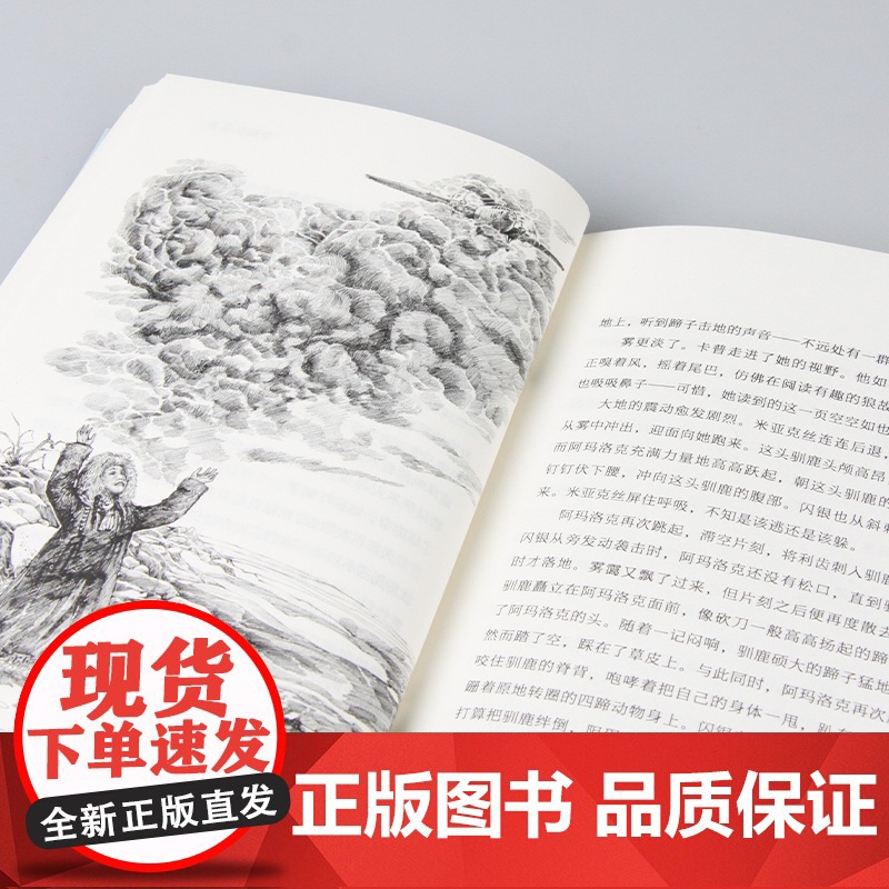 正版 小狼女朱莉 长青藤国际大奖小说书系 外国儿童文学三四五六年级小学生课外阅读书籍青少年版8-10-12周岁寒暑假拓展高清大图