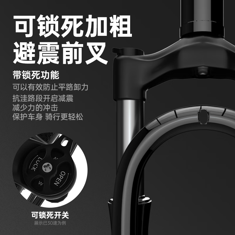 永久(FOREVER)山地车自行车铝合金单车代步车[钢架]顶配版-白蓝辐条轮26寸24速[建议身高155-185cm]高清大图