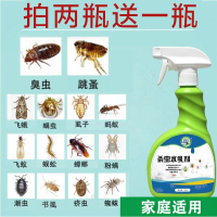 坤宁王 家庭害虫臭虫潮虫跳骚螨虫苍蝇蚊子虱子蚂蚁蟑螂全窝端杀虫喷射剂 500ml