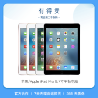 【二手95新】苹果/Apple iPad Pro 国行平板电脑 9.7寸 32GB WiFi版 金色