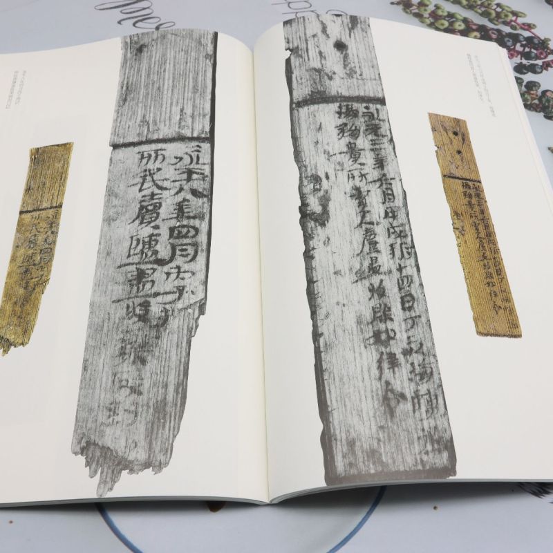 乌程汉简萃编 [正版]乌程汉简萃编高清大图