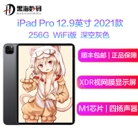 苹果 Apple 2021新款 iPad Pro 12.9英寸 256G WIFI版 苹果平板电脑 深空灰色 海外版