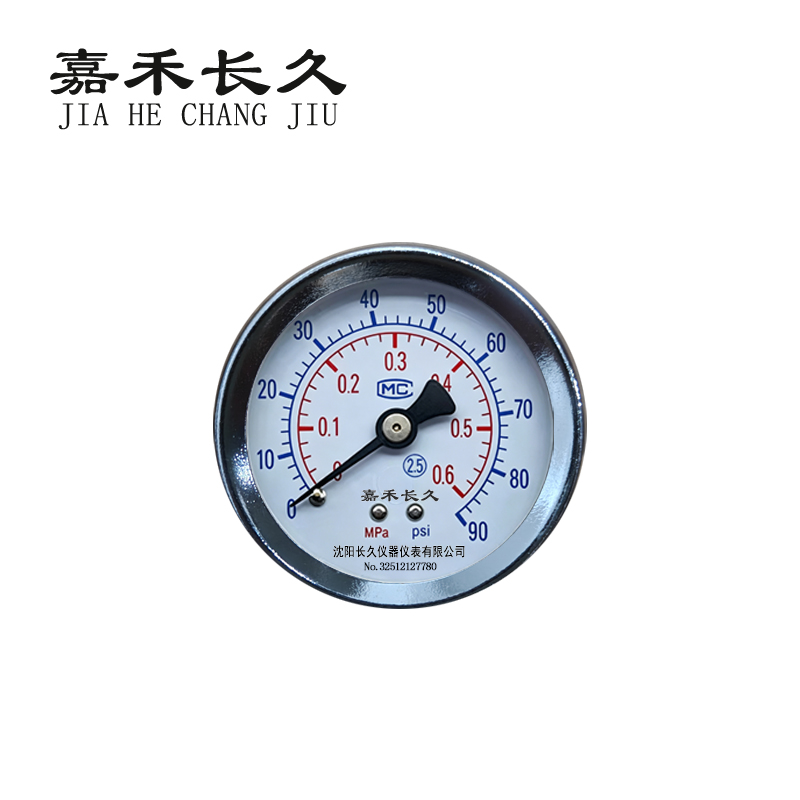 嘉禾长久 压力表轴向检测型 Y40Z 块高清大图