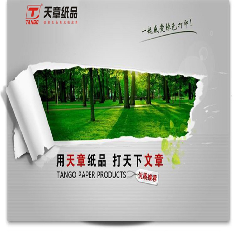 世纪天章A4 80g 500页/包 5包/箱 20箱/组