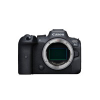 R6 +RF 24-105/4-7.1 STM
