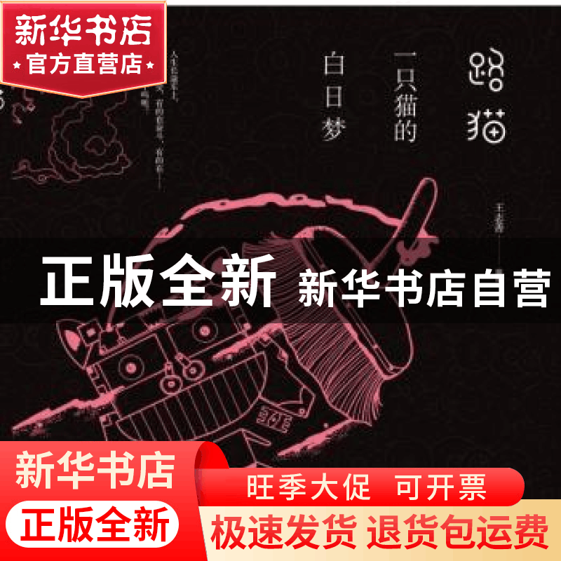 正版 路猫:一只猫的白日梦 王志善 哈尔滨出版社 9787548433668图片