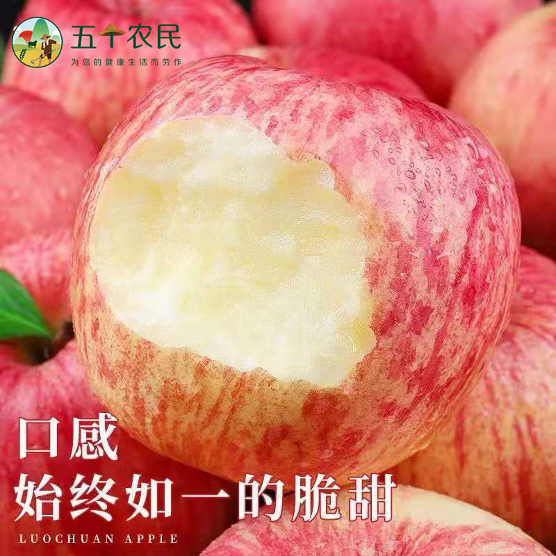 [五个农民]烟台栖霞红富士5斤礼盒装85-90mm+