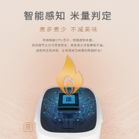 松下(Panasonic电饭煲SR-T15HN8 智能双预约1-6人家用电饭锅 4L