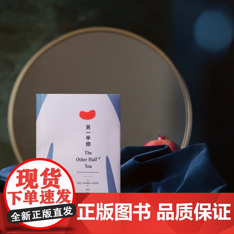 另一半你 迈克尔·穆罕默德·艾哈迈德 著 外国文学高清大图