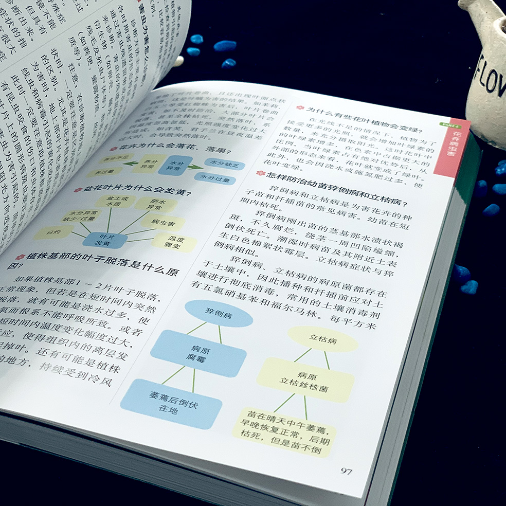 [醉染正版]正版 养花书籍 养花百科 家庭养花种花 养花大全 养花视频 养花图书 园艺技术 花卉知识 零基础新手养花 养高清大图