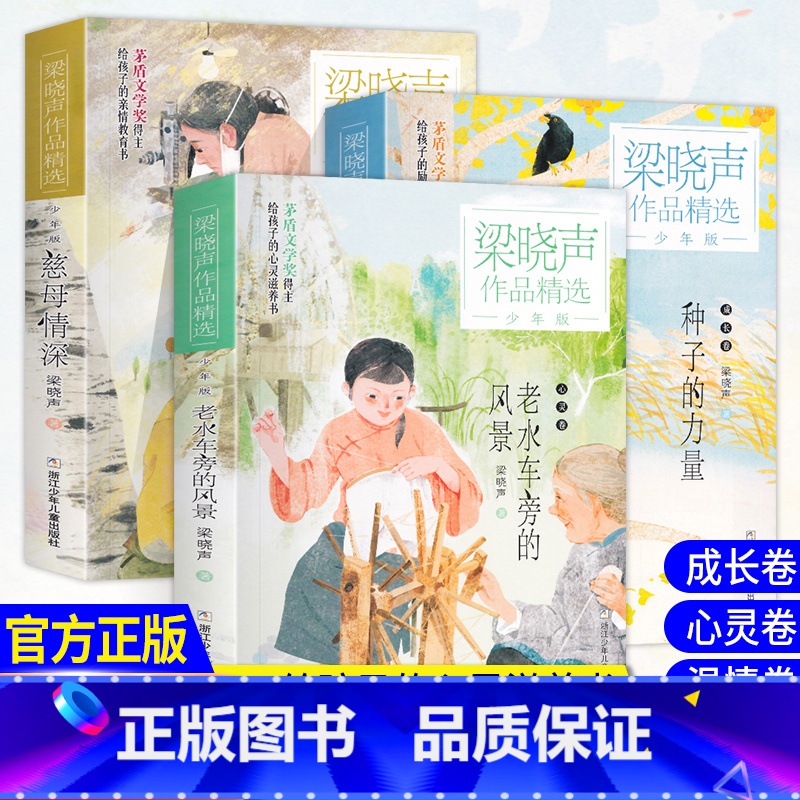 慈母情深+老水车旁的风景+种子的力量 【正版】王芳梁晓声作品精选少年版全3册慈母情深老水车旁的风景种子的力量人世间活法人