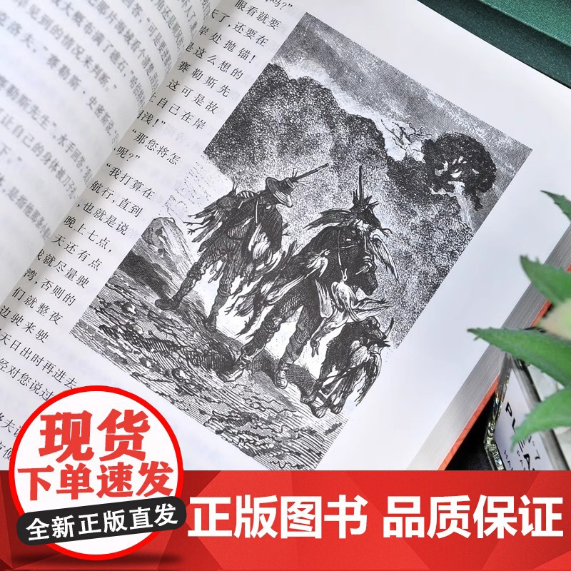神秘岛 人民文学出版社 儒勒凡尔纳著 世界文学名著书籍经典原著 书必读 青少年版中小学生课外阅读书籍 正版高清大图