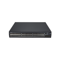 DPtech交换机LSW3600-48GT4GP 台
