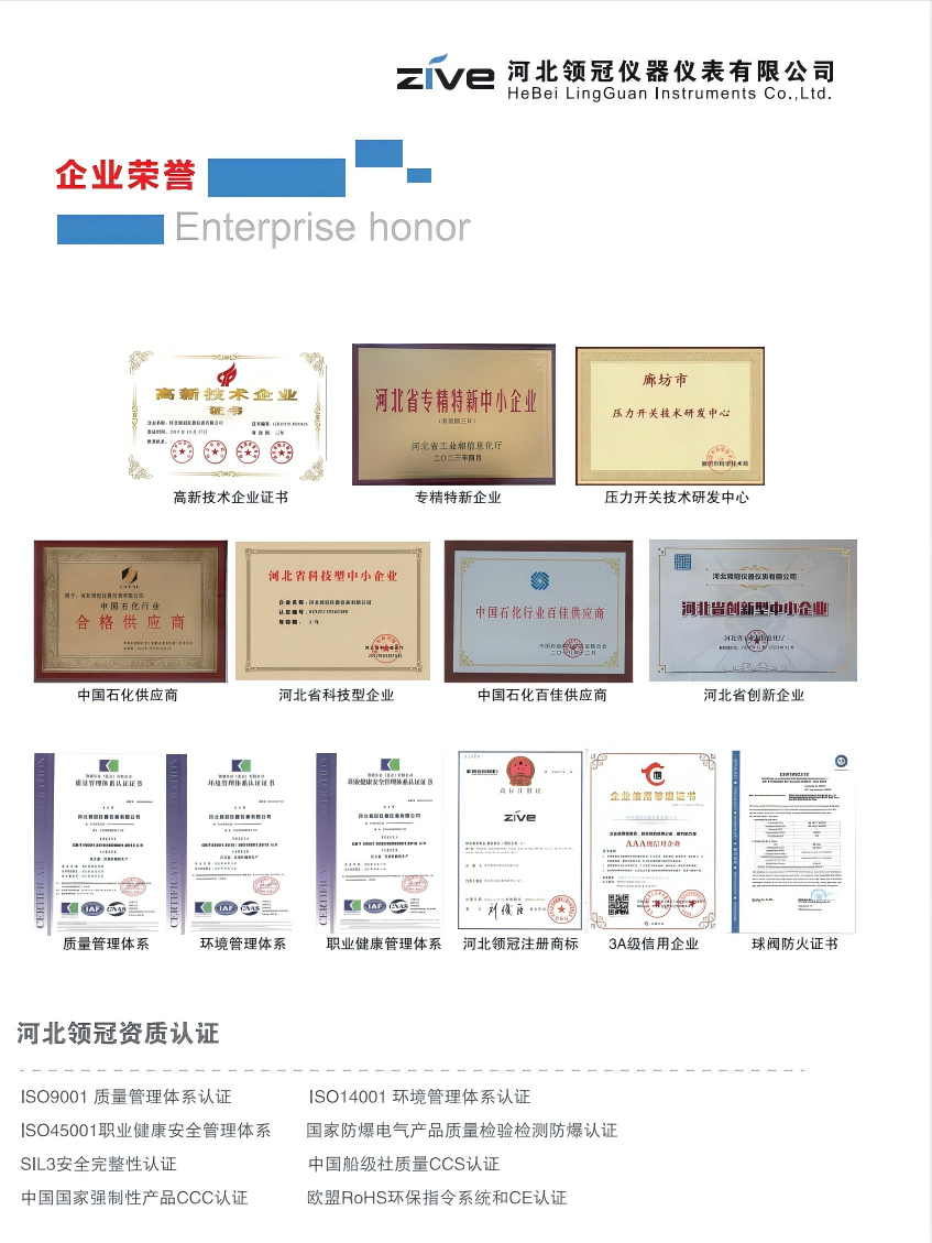ZIVE 304全不锈钢压力表 ZMG-OSA02(下单备注轴向、径向)个高清大图