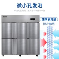 雪村(Xuecun) 商用冷柜 1250L 全冷冻立式冰箱 六门厨房柜 冰柜 冷柜 冻肉柜 不锈钢 商用冷柜