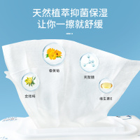 蓝帆 湿厕纸除菌液体湿擦卫生湿巾湿纸巾洁厕40片