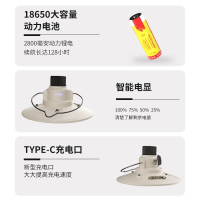 TCL户外照明露营灯超长续航帐篷野营地led充电氛围灯挂式复古马灯