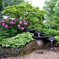 花彩师庭院土壤改良介质50L *4 花彩师土壤养分保肥