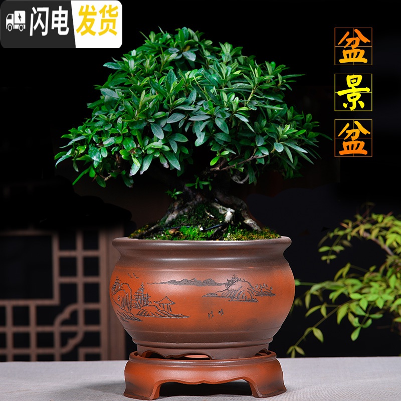 三维工匠宜兴紫砂花盆精品兰花盆室内桌面植物盆君子兰文竹盆陶瓷花盆 四方紫色带底座 大花盆容器高清大图