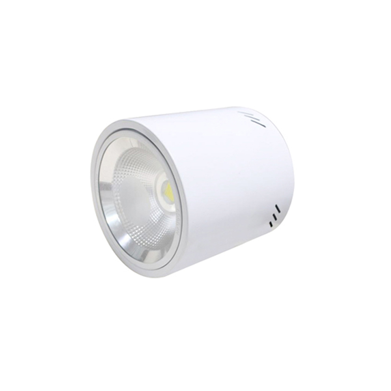 众朗星 ZL8855 LED站台灯 30W LED光源高清大图