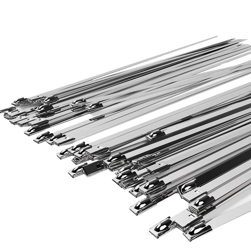 万梓 不锈钢扎带 10*700mm 根高清大图