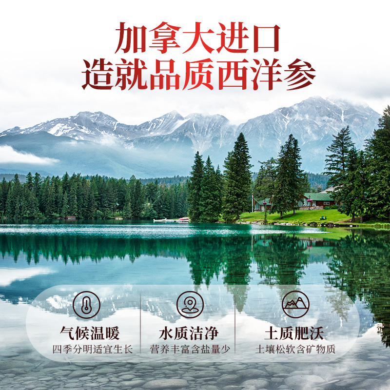 雷允上西洋参 加拿大进口花旗参片120g 礼盒装西洋参圆切片滋补佳品