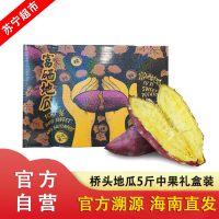 [官方溯源 海南直发]海南澄迈桥头地瓜 5斤装中果礼盒装 (25-35个) 新鲜番薯 农家板栗红薯