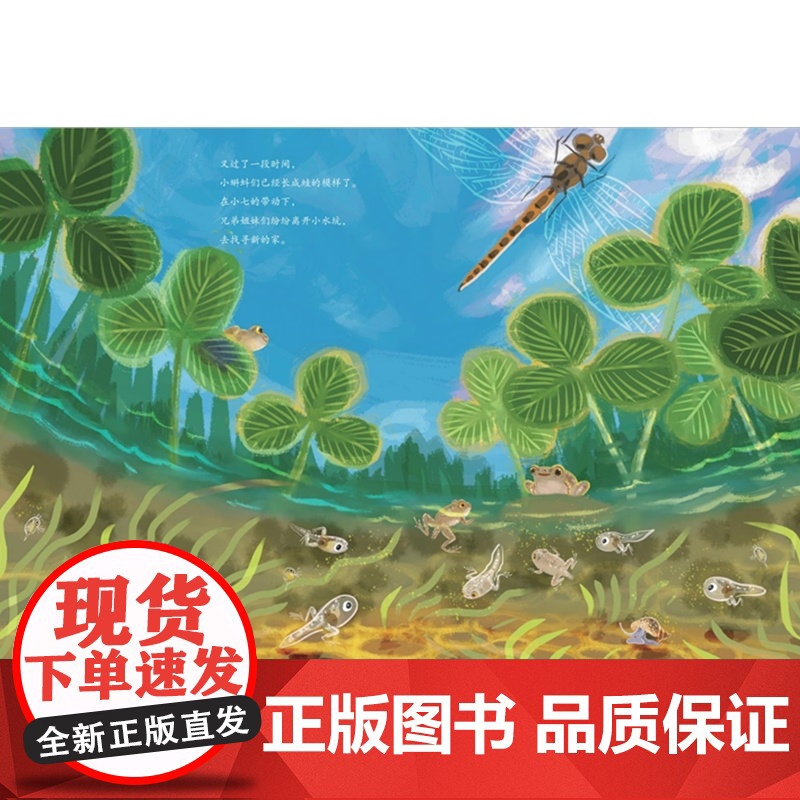 家门口的野生动物朋友 成为青蛙王子——嗨,蛙蛙朋友高清大图