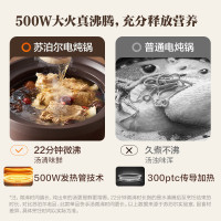 苏泊尔(SUPOR)电炖锅紫砂锅5L/升大容量煲汤锅养生锅煮粥锅电砂锅家用智能预约电炖盅熬粥紫陶内胆DG50YC872