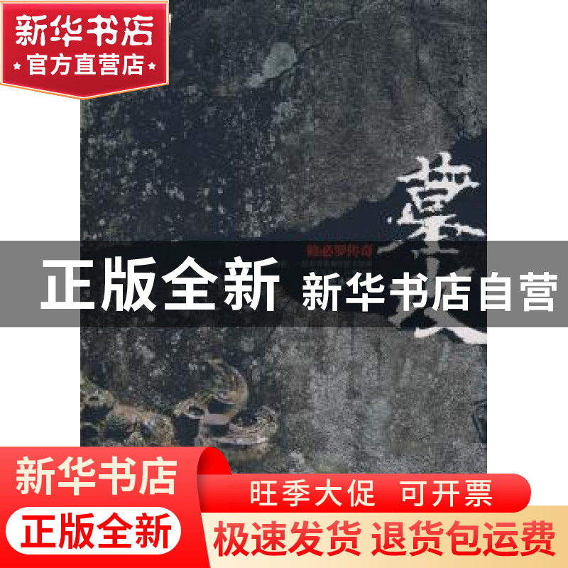 正版 墓攻:修必罗传奇 怒涛雪著 新星出版社 9787802254503 书籍