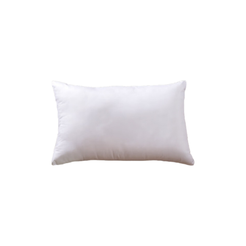 扬正通 枕头 YZT002 个