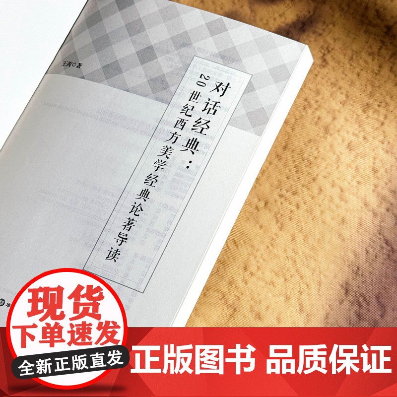 对话经典 20世纪西方美学经典论著导读 西方美学家美学流派介绍 美学 哲学 华东师范大学出版社高清大图